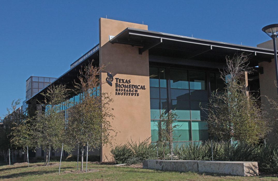 Texas Biomedical Research Institute