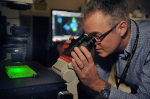 Dr. Robert Davey looking through a microscope