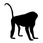 monkey_silhouette