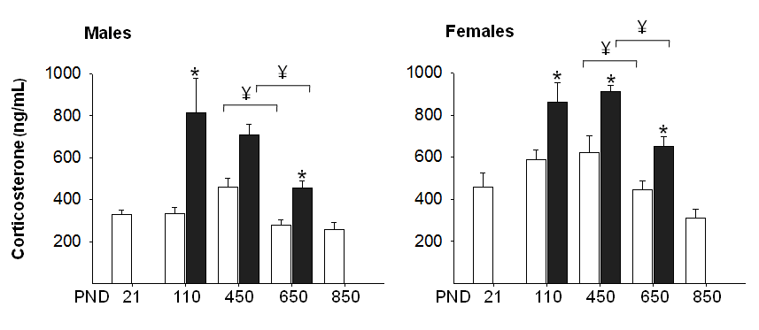 rat-corticosterone-figure