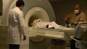 Baboon being scanned in an MRI machine