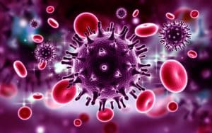 HIV virus in the bloodstream