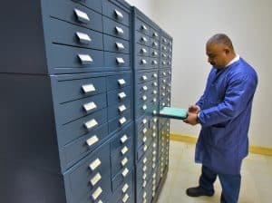 Tissue samples stored in drawers