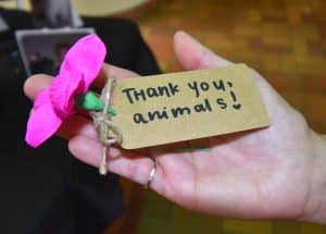 Thank you, animals!