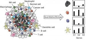 Quantitative biology/single cell analysis illustration