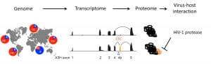 Bioinformatic/experimental approach illustration