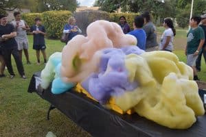 Fun at Texas Biomed Family Night