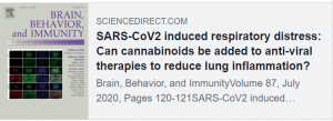 Image capture detailing the title and link to science direct, link to paper is below