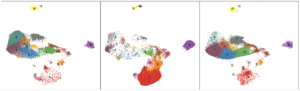 single cell sequencing data