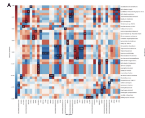 gene expression