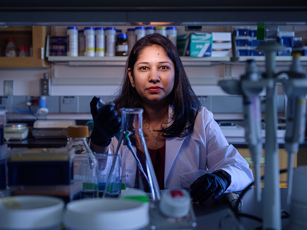 Scientist work in laboratory