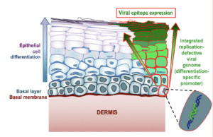 HIV vaccine illustration