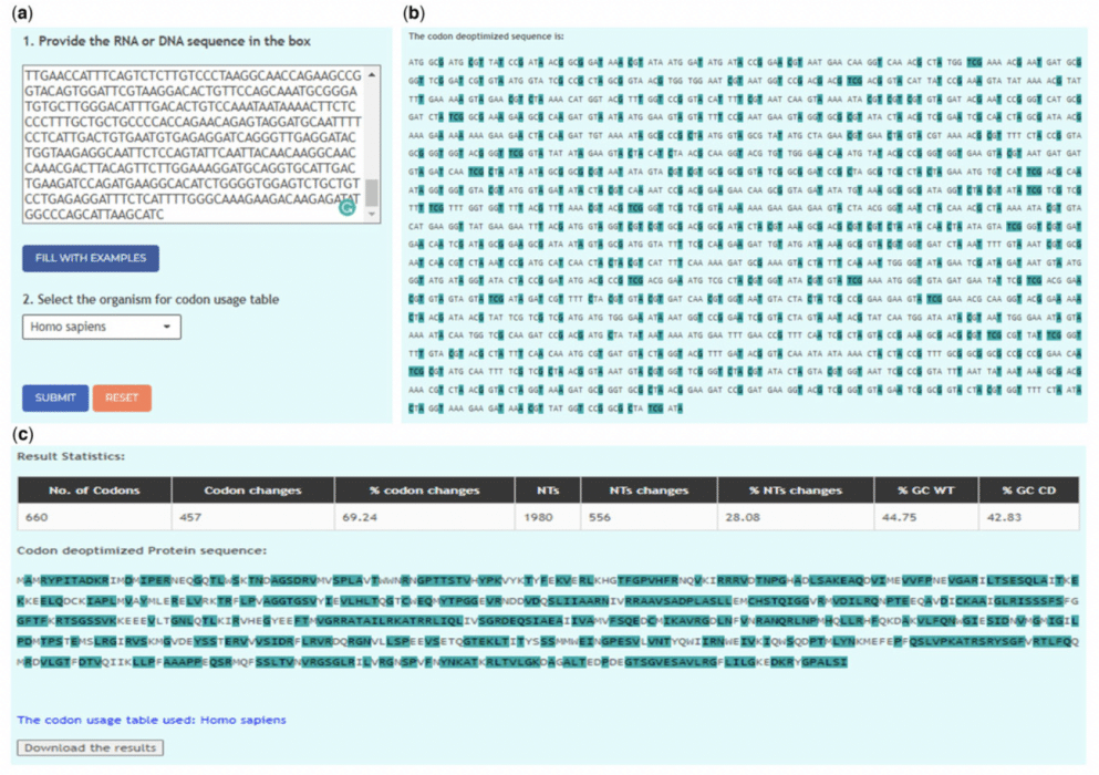 biocoder example. example biocoder code for plasmid... CoDe tool makes vaccine development faster and more accurate - Texas Biomed