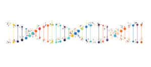 DNA Helix