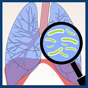illustration of lungs with a magnifying glass over the right side, in the magnifying glass is a representation of tuberculosis