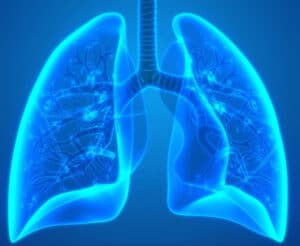 stock image representation of lungs