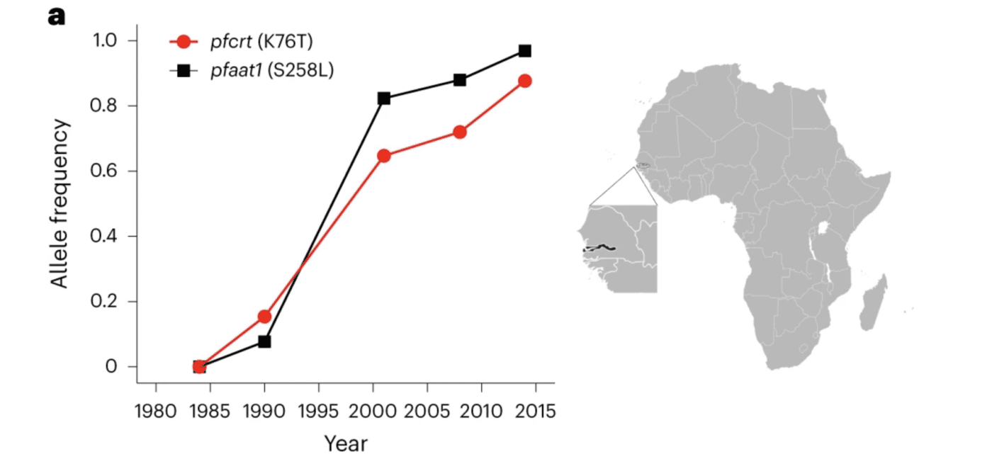 Graph showing AAT1 mutation