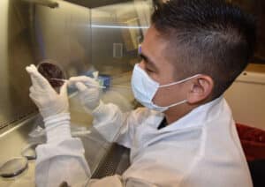 Biomedical research