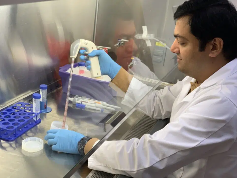 Magic cocktail generates lung’s most critical immune cell in the lab