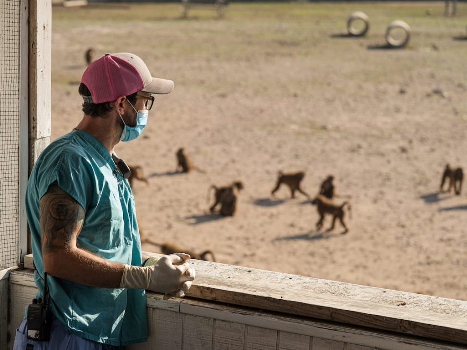 Blake Harrington looking at baboons