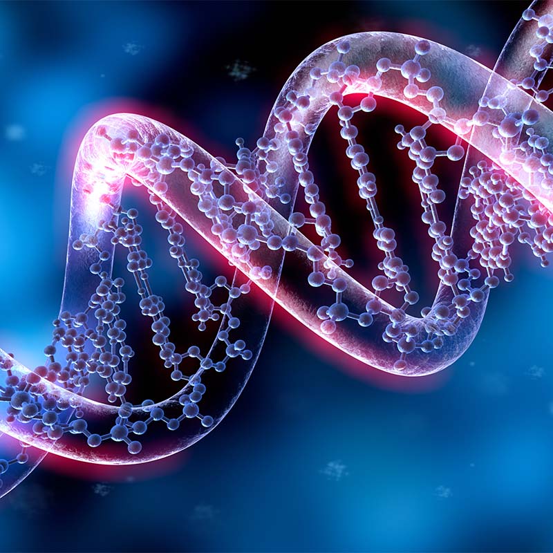 DNA Unit