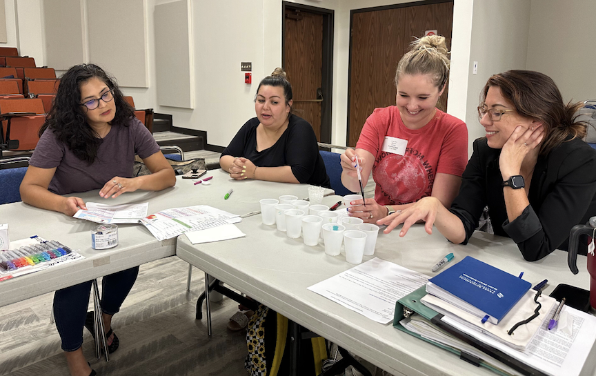 Teachers Development
