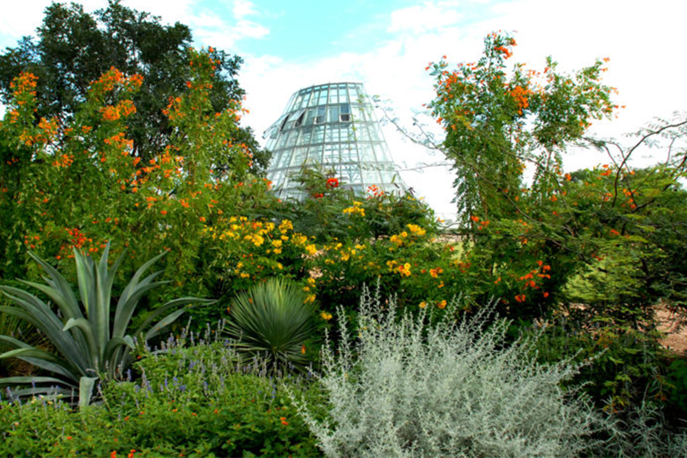 San Antonio Botanical Gardens