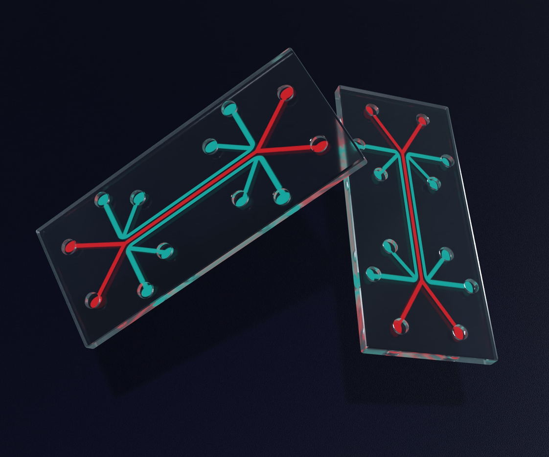 microfluidic chip is a set of micro-channels etched or molded into a glass material