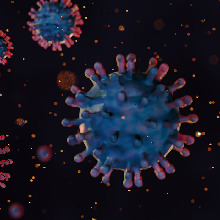 Chikungunya Virus 3D stock image