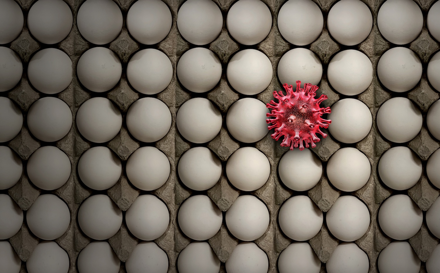 Bird Flu in 2026: What Texans need to know about H5N1 and pandemic preparedness 